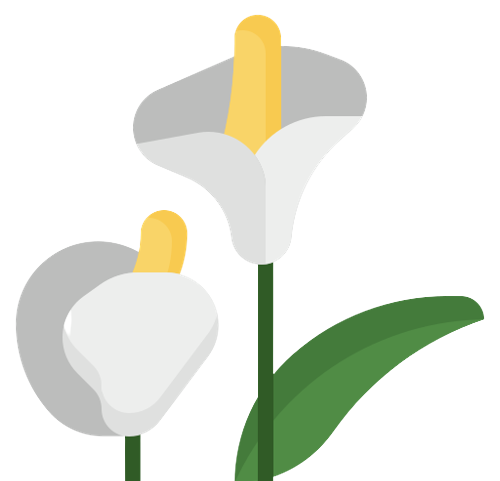 Cate-araceae.org
